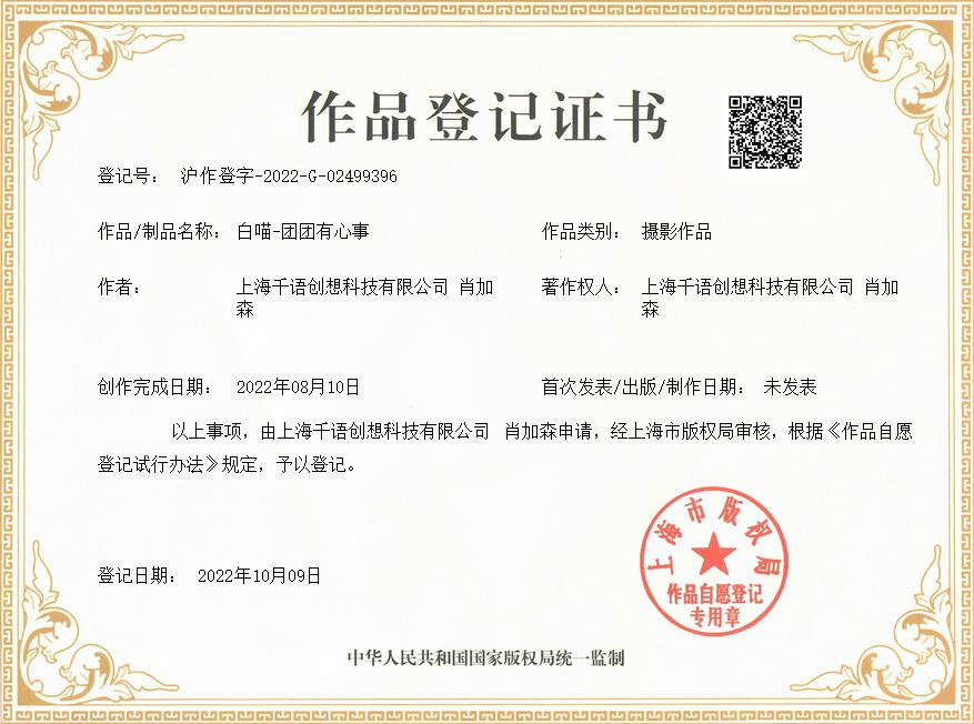 肖加森、上海千语创想科技有限公司共同获得白喵-团团有心事作品著作权证书